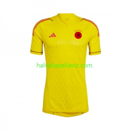 Jalkapallo Pelipaidat/Peliasut Saksa Maalivahti Lasten Vieraspaita World Cup 2022 Lyhythihainen